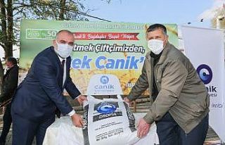 Üretim çiftçiden, tohum Canik’ten