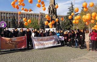 Uşak’ta Kadına Yönelik Şiddete Karşı Uluslararası...