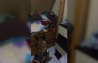 Uyuşturucu tacirleri Cash’ten kaçamadı
