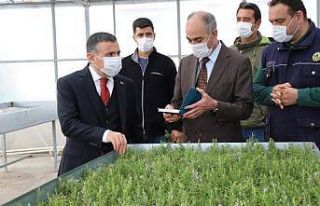 Vali Atay, Fidan şefliğini ziyaret etti