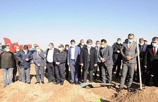 Vali Aydoğdu: “Ağaç hepimizi birleştiriyor”