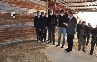 Vali Çelik’ten ‘Mozaikli Ev-Arkeopark’ projesine...