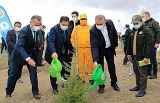 Vali Masatlı: “Yüzlerce fidanı toprakla buluşturmamız,...