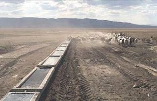 Van Büyükşehir Belediyesi 120 mahalleye bin adet...