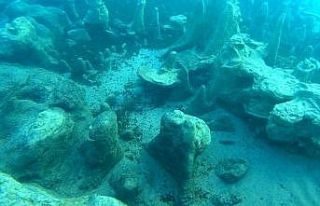 Van Gölü suları çekilince mikrobiyalitler gün...