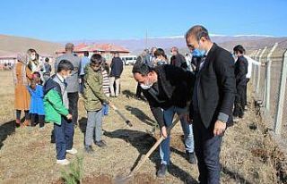 Varto’da fidan dikimi