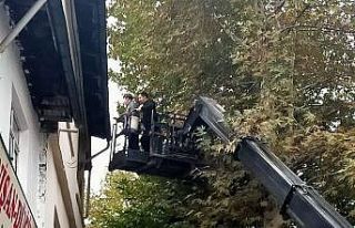 Vatandaşlar kışa hazırlanıyor