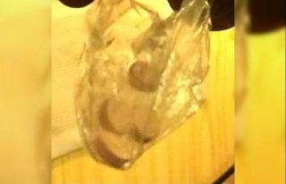 Yabancı bayraklı gemide uyuşturucu hap ele geçirildi