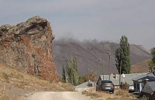 Yanardağ gibi bitmek bilmeyen küller canlarından...