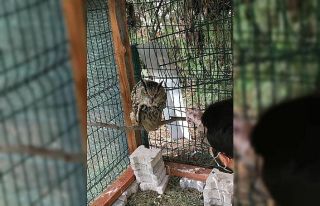 Yaralı bulundu, tedaviye alındı