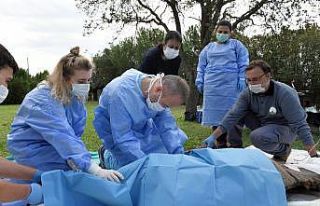 Yaralı eşekler sağlığına kavuştu