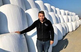 Yem fiyatları artınca üreticiler slajlık mısıra...