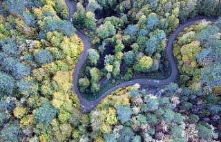 Yenice ormanlarında sonbahar güzelliği