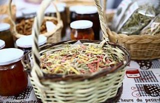 Yenipazarlı kadınlar üretiyor, Büyükşehir destekliyor