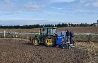 Yerli ve milli yulaf tohumları toprakla buluştu