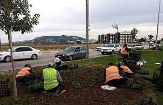 Yeşil alanlarda mevsimsel bakım çalışmaları...