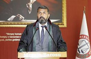 Yeşilboğaz: "Hayvana şiddet suç kapsamına...
