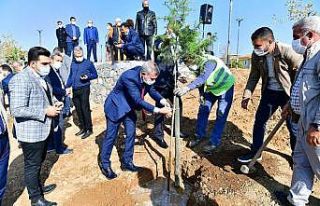 Yeşilyurt’ta bin 444 adet fidan desteği