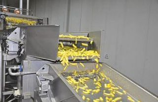 Yıllık 25 bin ton patates işliyorlar