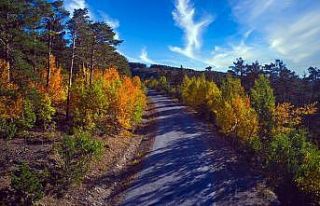 Yozgat’ta sonbahar güzelliği