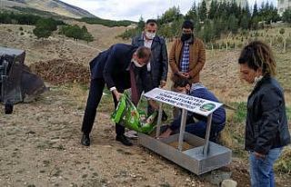 Yunak’ta sokak hayvanlarına besleme noktası