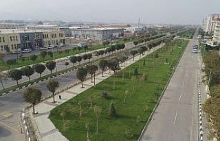 Yunusemre’de 35 bin metrekarelik alan yeşillendi