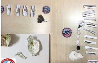Yunuslar 1 ayda 34 şüpheliyi yakaladı
