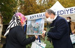 10 bin tohumlu kalem, bin 954 adet fidan dağıtıldı