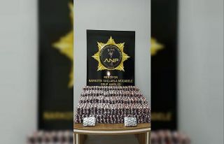 13 bin 944 adet sentetik ecza hapı ele geçirildi