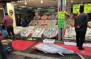 185 kiloluk orkinosu gören Kayserililer hayrete düştü