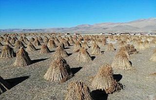 1 milyon dolar yanarak kül oldu