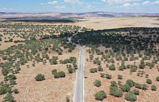 2020 yılında yol çalışması kapsamında 258 bin...