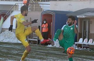 2. Lig: Sivas Belediyespor: 2 - Eyüpspor: 2