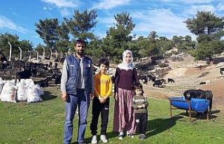 37 küçükbaş ile başladı, şimdi 150 hayvanı...