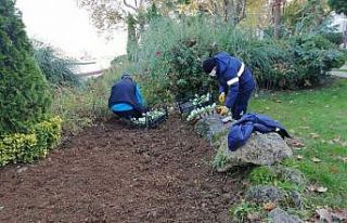 3 ilçenin ağaçları kış bakımına alındı