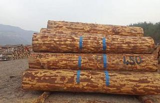 7 bin 213 metreküp orman emvali 3 milyon 341 bin...