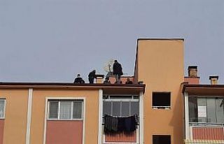 7 katlı binanın çatısına çıkan adam, 1 saatlik...