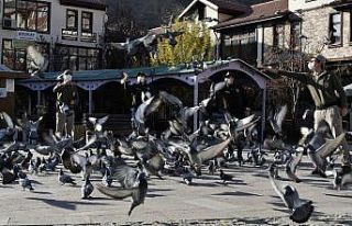 Aç kalan güvercinlerin imdadına polisler yetişti