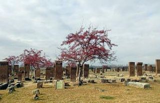 Açık hava müzesi Ahlat’ın tarihi mekanları...