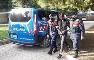 Adana’da DEAŞ operasyonu