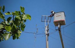 ADM Elektrik ‘Leyleklere Yeni Yuva’ ile ödüle...