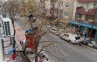 Ağaçta iki gün boyunca mahsur kalan yavru kedi...