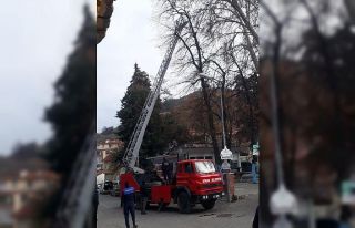 Ağaçta mahsur kalan kediyi itfaiye ekipleri kurtardı