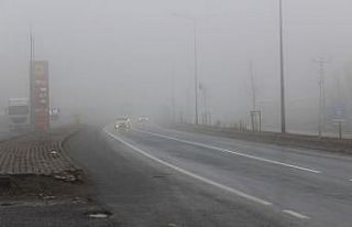 Ağrı’da yoğun sis etkili oldu