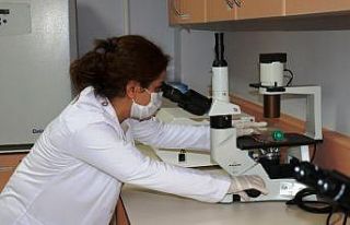 Akciğer kanseri tedavisi için umutlandıran haber