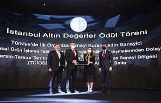 Akyürek Balta’ya ‘Yılın Sanayici İş Kadını"...