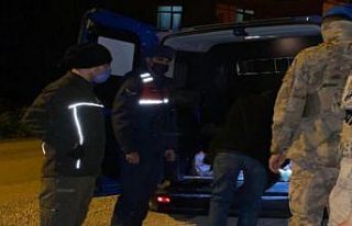 Alaplı’da yaralı karaca jandarma ekiplerince kurtarıldı