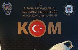 Aliağa’da tarihi eser kaçakçısına operasyon