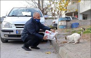 Altıeylül Belediyesi can dostlarını unutmadı