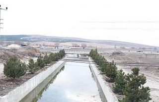 Altıntaş Avşar deresi ağaçlandırma çalışmaları